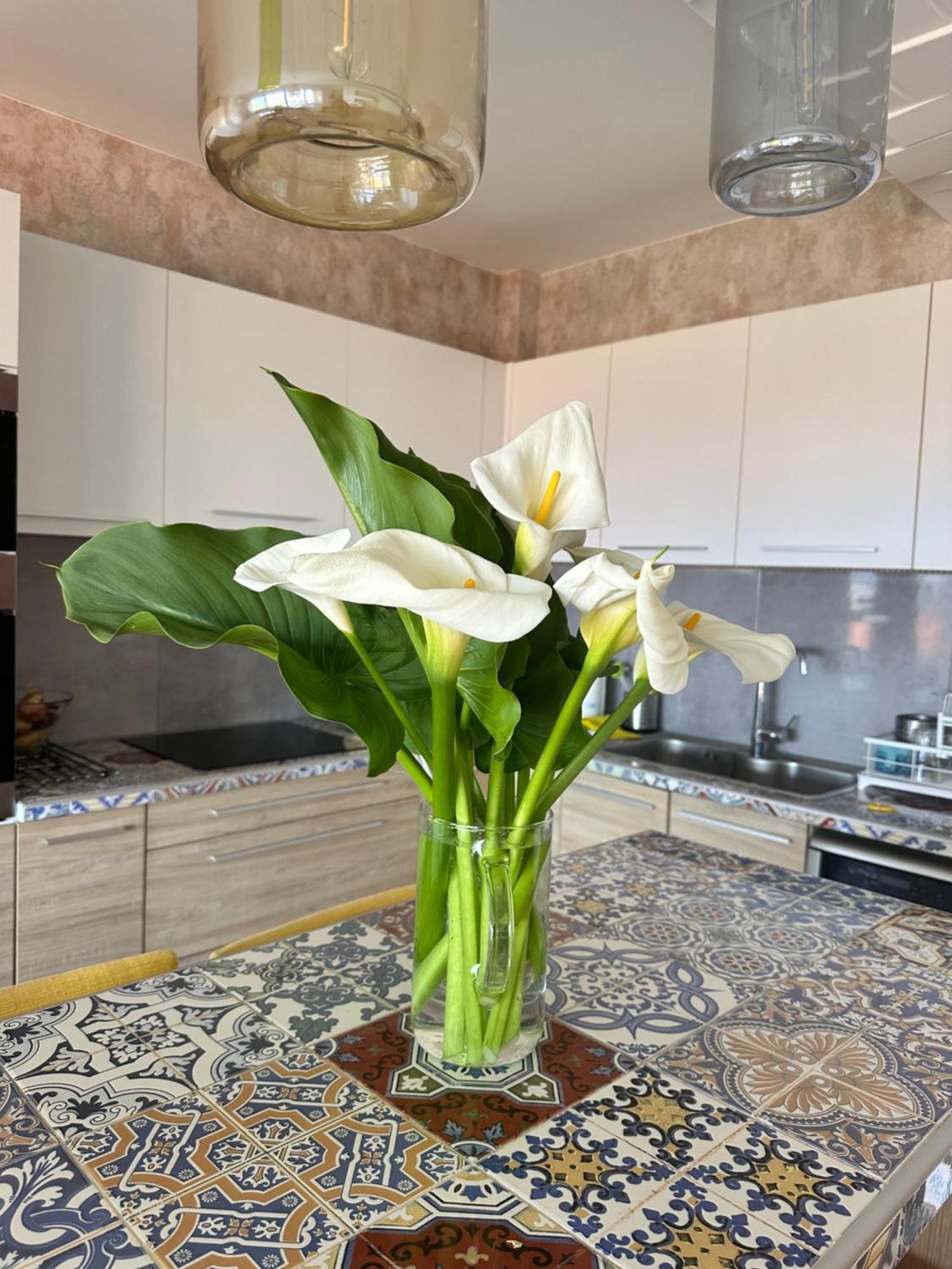 Apartament W *